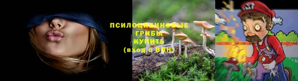 марки nbome Алзамай