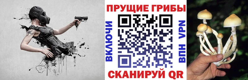 Псилоцибиновые грибы прущие грибы  Всеволожск 